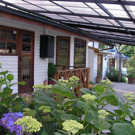 Complejo Cabanas Petalos Villarrica Zewnętrze zdjęcie