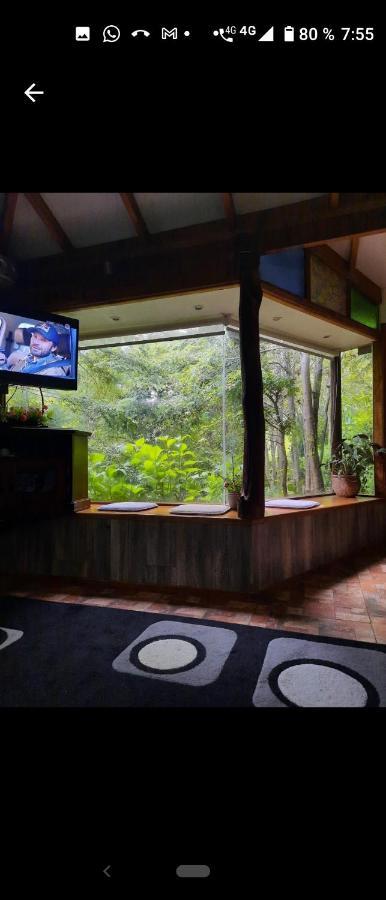 Complejo Cabanas Petalos Villarrica Zewnętrze zdjęcie