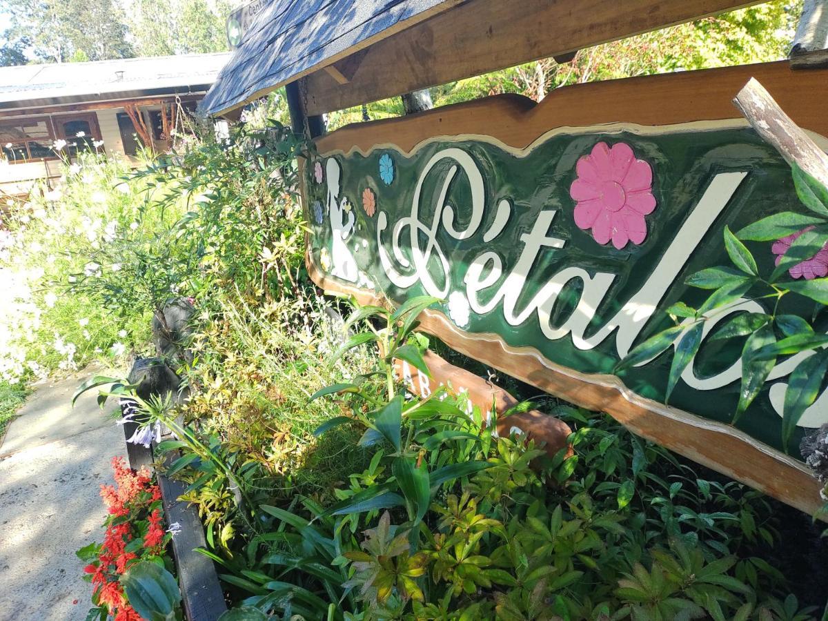 Complejo Cabanas Petalos Villarrica Zewnętrze zdjęcie