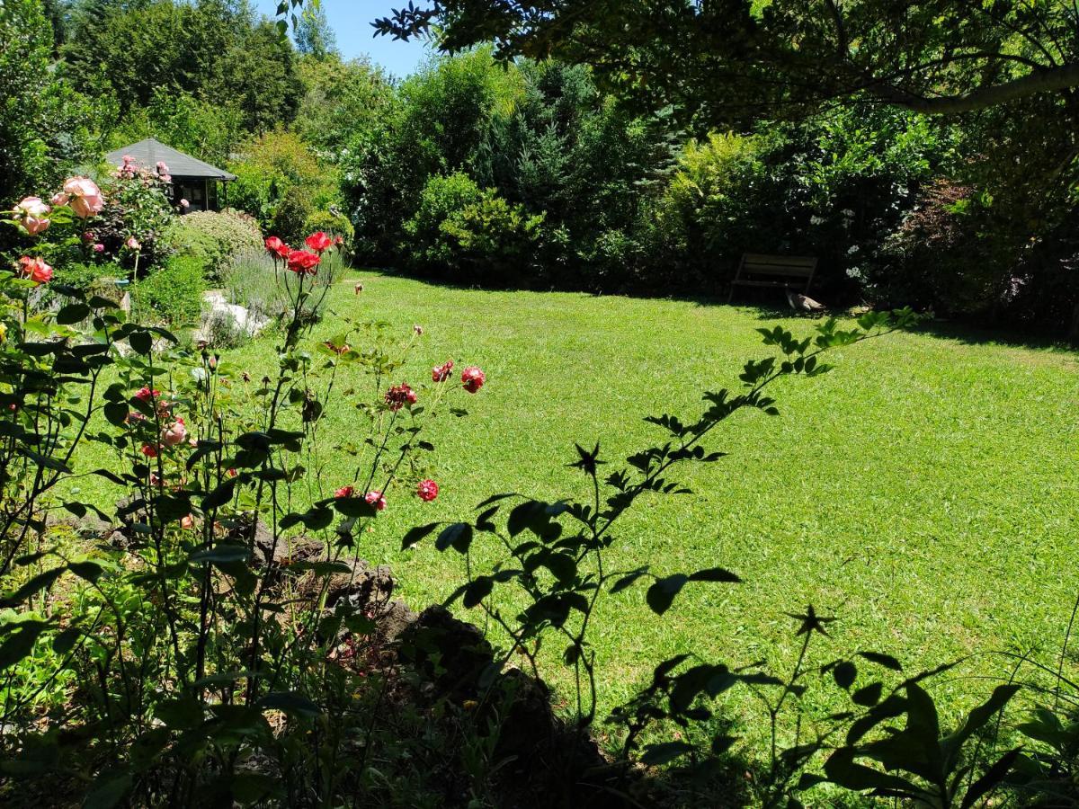 Complejo Cabanas Petalos Villarrica Zewnętrze zdjęcie