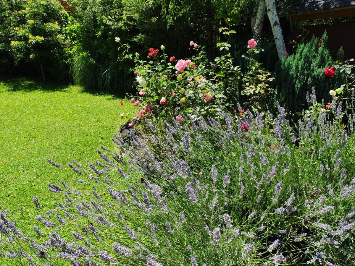 Complejo Cabanas Petalos Villarrica Zewnętrze zdjęcie