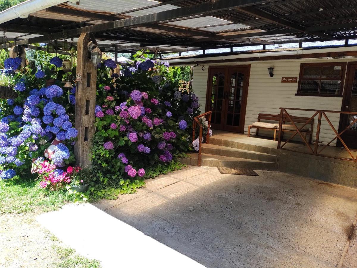 Complejo Cabanas Petalos Villarrica Zewnętrze zdjęcie