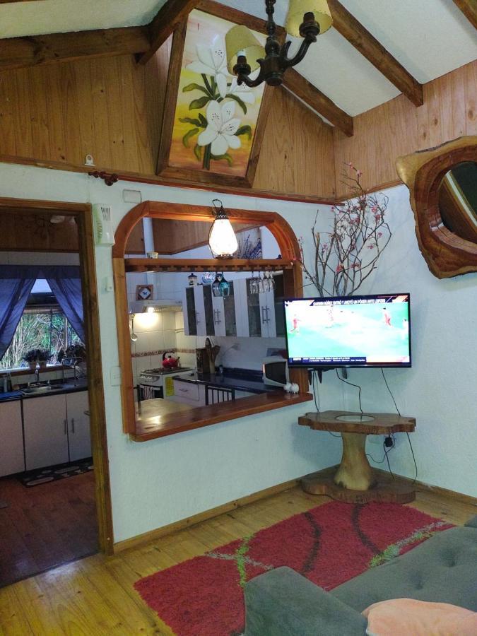 Complejo Cabanas Petalos Villarrica Zewnętrze zdjęcie