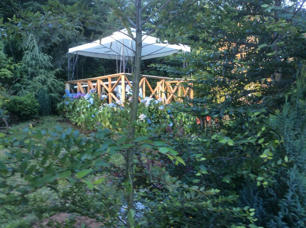 Complejo Cabanas Petalos Villarrica Zewnętrze zdjęcie