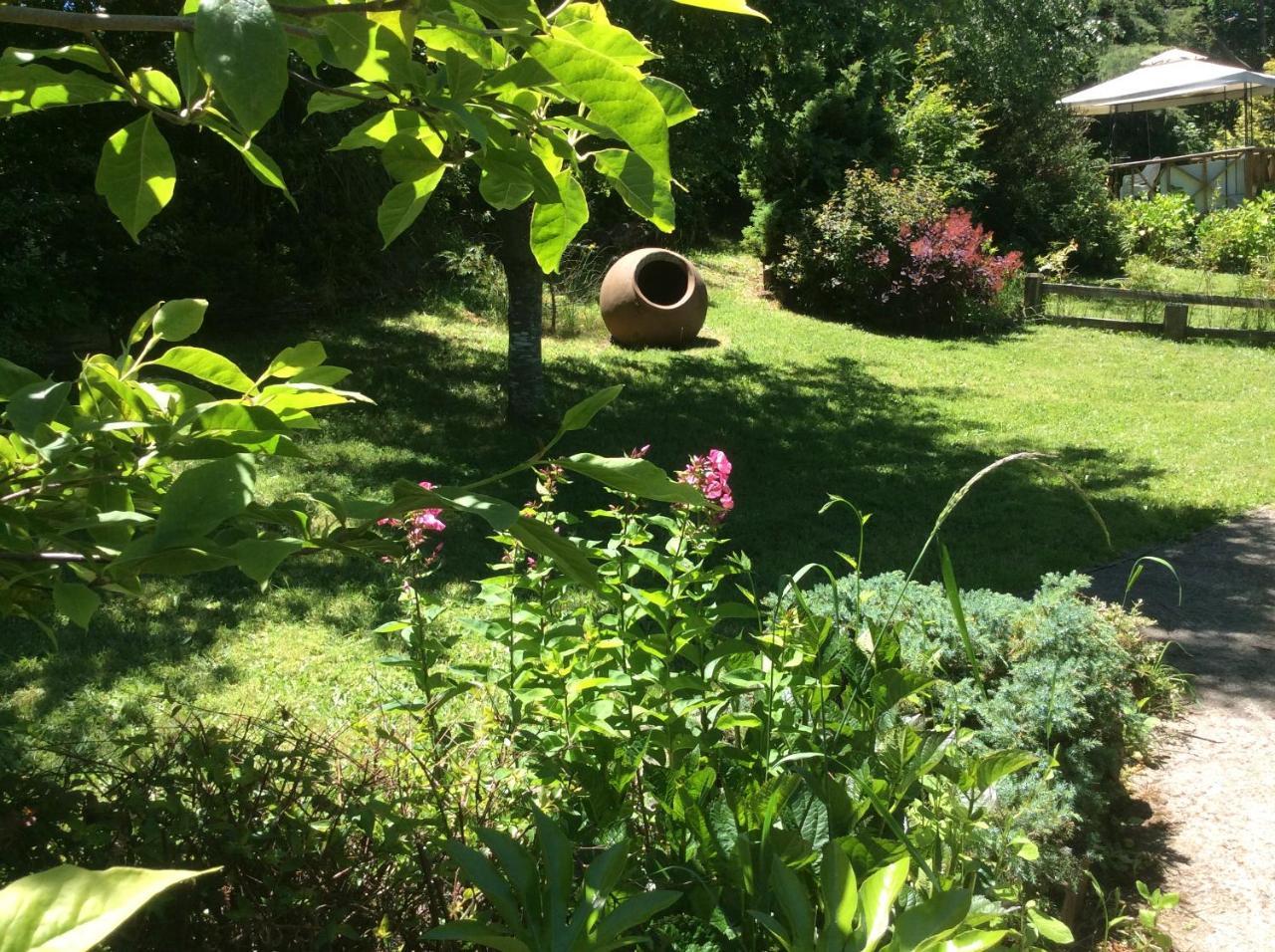Complejo Cabanas Petalos Villarrica Zewnętrze zdjęcie