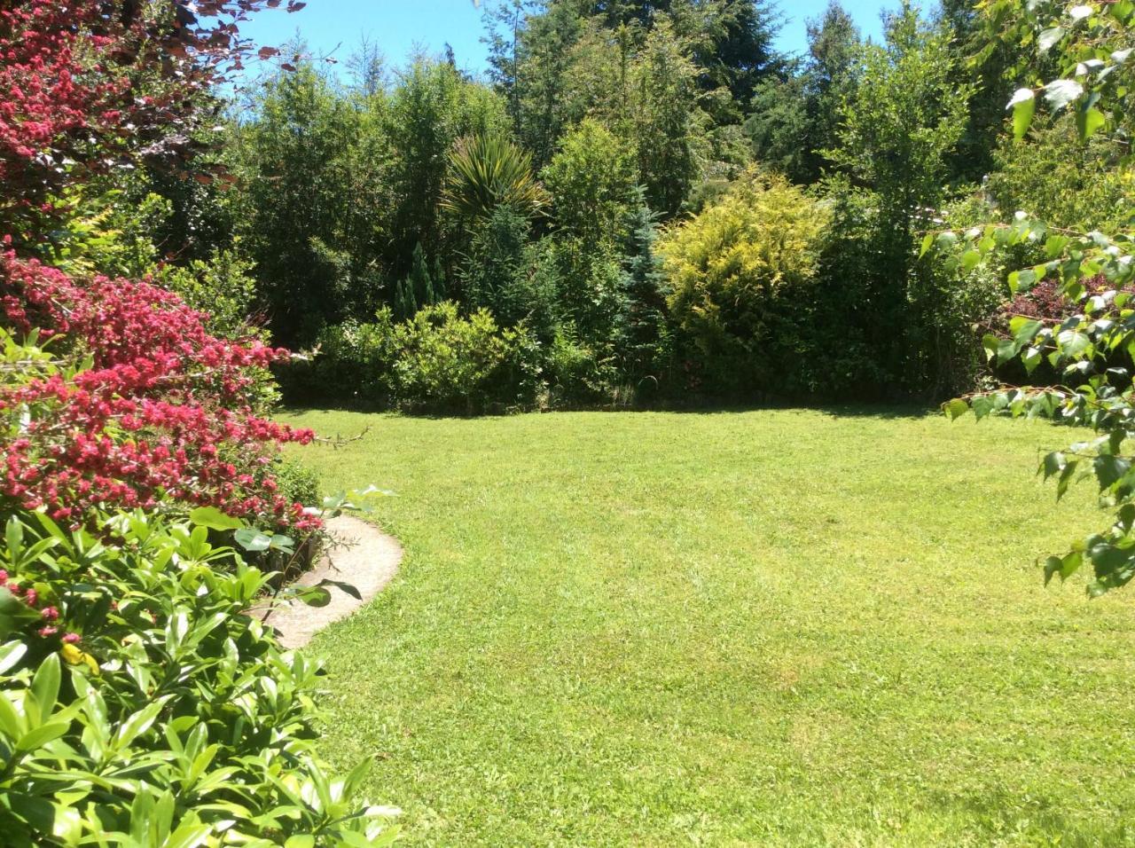 Complejo Cabanas Petalos Villarrica Zewnętrze zdjęcie