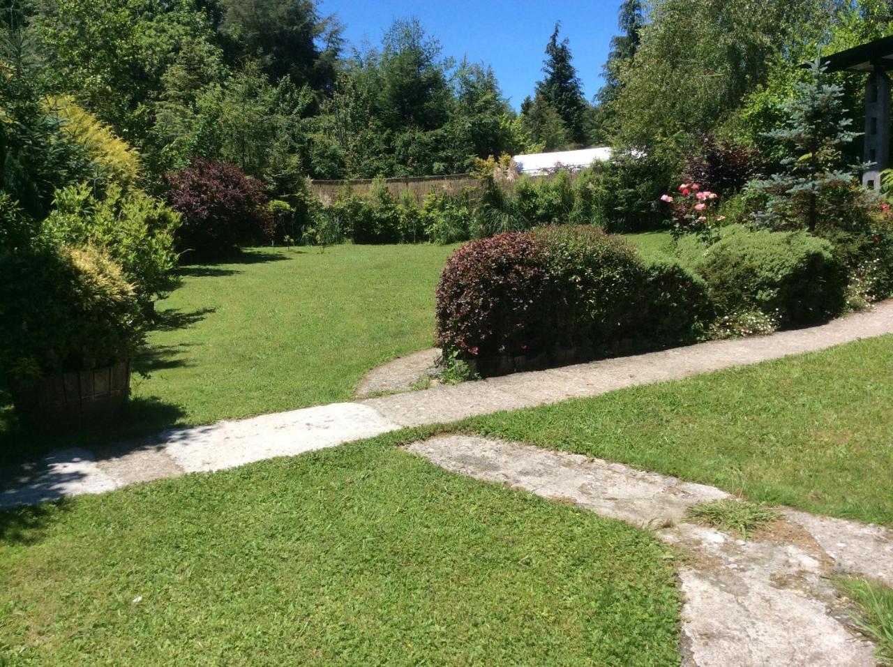 Complejo Cabanas Petalos Villarrica Zewnętrze zdjęcie